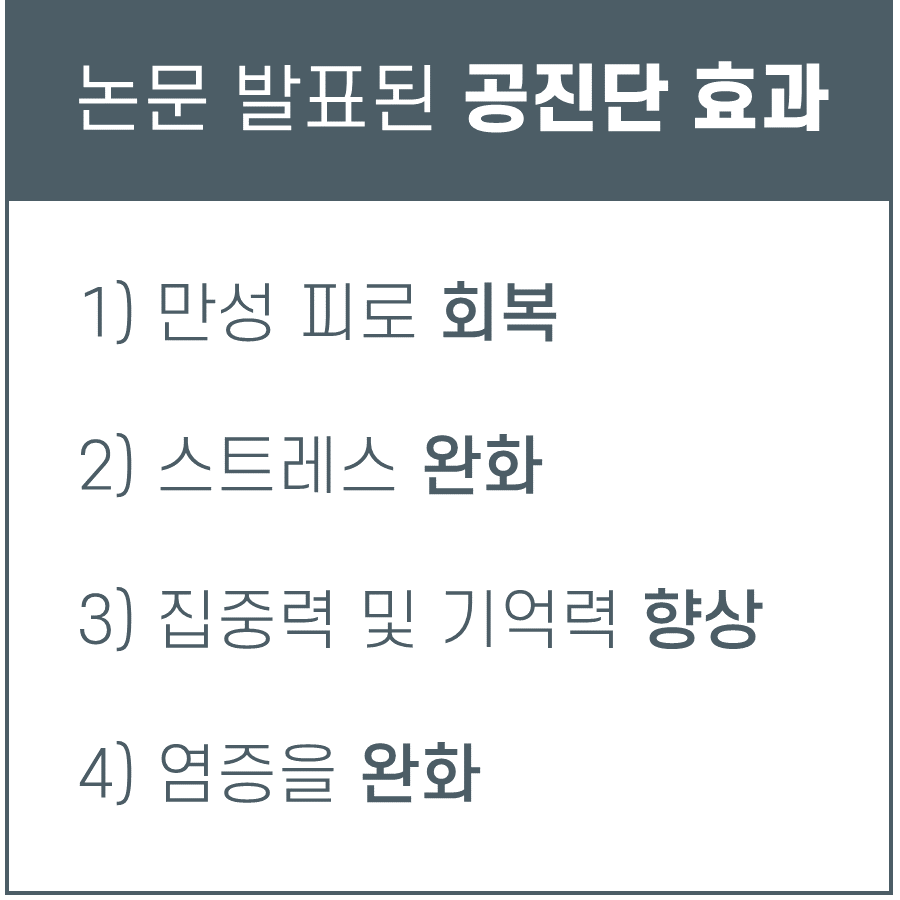논문 발표된 공진단 효과라는 제목 아래 만성 피로 회복, 스트레스 완화, 집중력 및 기억력 향상, 염증 완화의 네 가지 항목이 나열된 이미지.