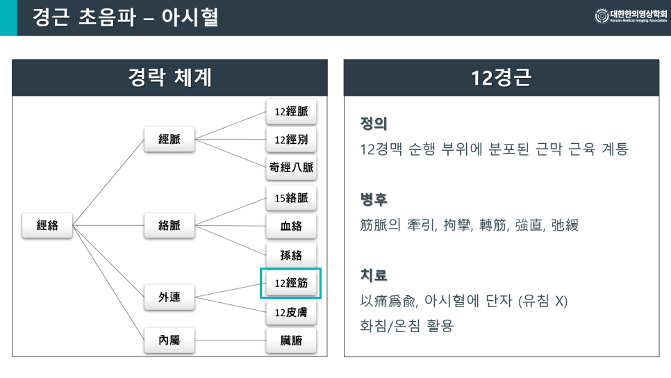 경근 초음파 - 아시혈이라는 제목의 슬라이드로, 경락 체계의 분류도와 12경근의 정의, 병후, 치료법을 설명하는 내용이 담겨 있다.