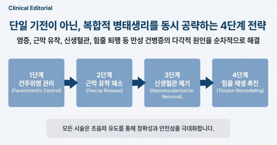 만성 건병증의 4단계 치료 전략을 설명하는 다이어그램으로, 건주위염 관리, 근막 유착 해소, 신생혈관 제거, 힘줄 재생 촉진 단계를 보여줍니다. 모든 시술은 초음파 유도로 진행됩니다.
