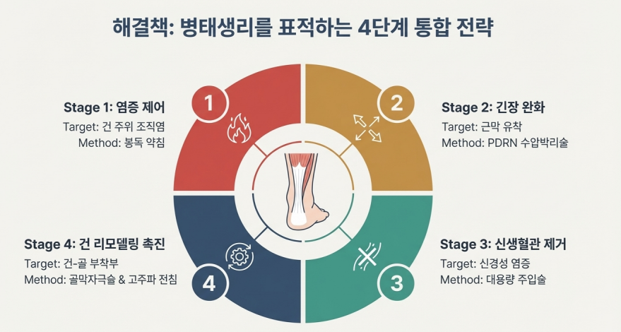 아킬레스건 병태생리를 표적하는 4단계 통합 치료 전략을 설명하는 도표