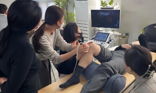 한의사가 환자의 무릎에 초음파 기기를 대고 진료하는 모습을 다른 한의사들이 지켜보고 있다.