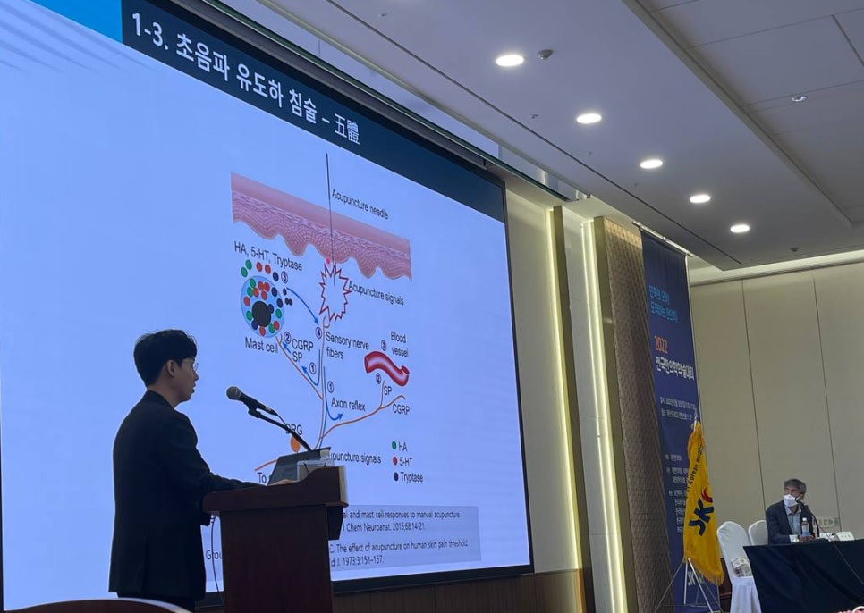 강연자가 강연대에서 발표하고 있으며, 뒤편 스크린에는 초음파 유도하 침술의 작용 메커니즘을 설명하는 다이어그램이 보인다 — 대한한의영상학회 초음파 약침·도침 강의 | 서울 바로한의원