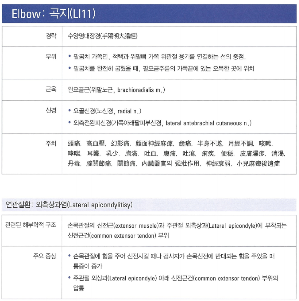 팔꿈치 곡지(LI11) 혈자리에 대한 경락, 부위, 근육, 신경, 주치, 연관질환, 해부학적 구조, 주요 증상 정보가 담긴 표입니다.