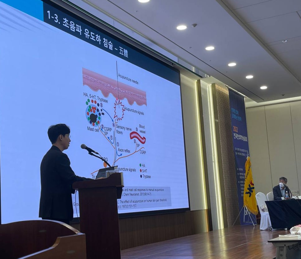 강단에서 발표자가 초음파 유도하 침술의 작용 기전을 설명하는 다이어그램을 보여주고 있다 — 대한한의영상학회 초음파 약침·도침 강의 | 서울 바로한의원