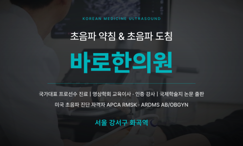 한의사가 환자에게 초음파 기기로 검사를 진행하는 모습