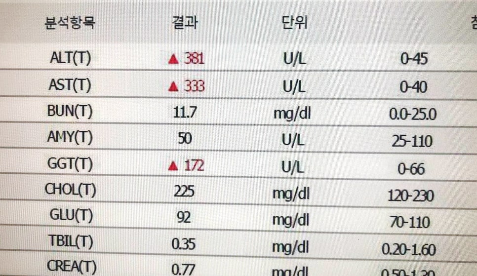 혈액 검사 결과표로, ALT, AST, GGT 수치가 높게 표시되어 있다 — 서울 바로한의원 초음파 약침·도침