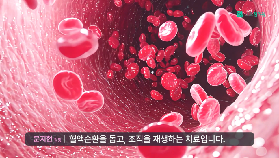 혈관 내부에서 적혈구들이 움직이는 모습
