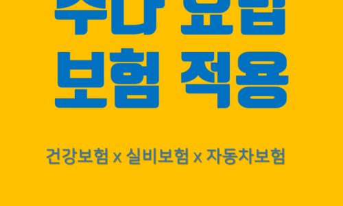 노란색 배경에 추나요법 보험 적용 문구와 건강보험, 실비보험, 자동차보험 적용 안내가 적힌 이미지
