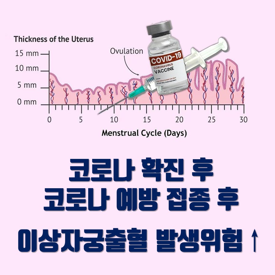 월경 주기 동안의 자궁 두께 변화 그래프와 코로나19 백신 병, 주사기가 함께 그려져 있으며, 코로나19 확진 또는 예방 접종 후 이상 자궁 출혈 발생 위험이 증가한다는 내용의 글이 있는 그림 — 초음파 유도하 약침 시술 | 서울 바로한의원