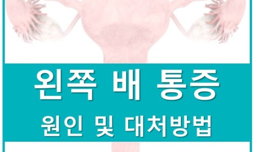 여성 생식기 그림과 '왼쪽 배 통증 원인 및 대처방법'이라는 문구가 적힌 이미지