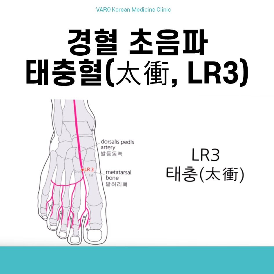 발의 태충혈(LR3) 위치와 주변 혈관, 뼈를 나타내는 해부학적 도해.