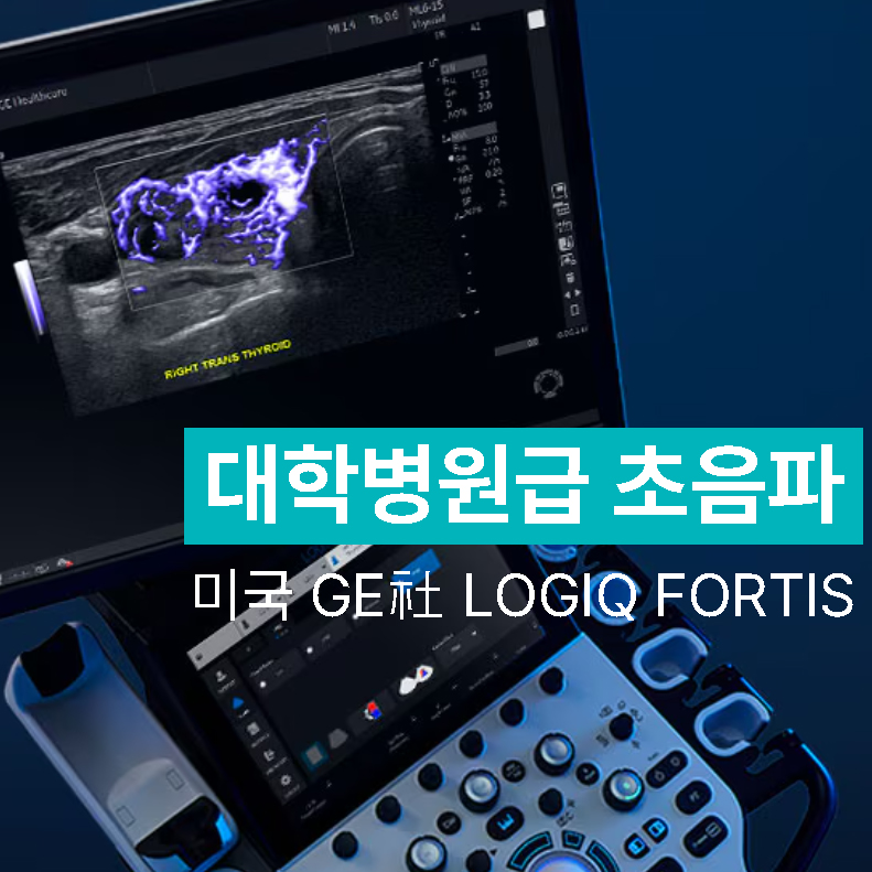 GE LOGIQ FORTIS 초음파 기계 화면에 갑상선 초음파 영상이 보이는 모습