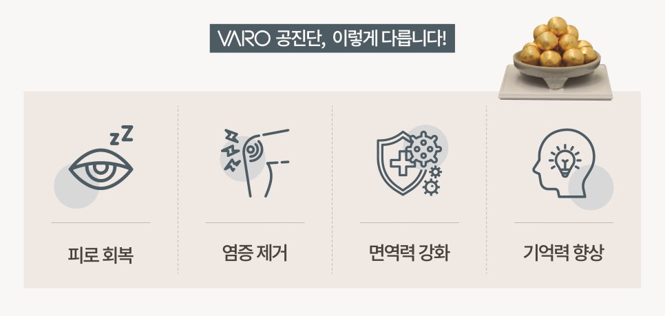 공진단 약재가 담긴 그릇과 피로 회복, 염증 제거, 면역력 강화, 기억력 향상을 나타내는 네 가지 아이콘.