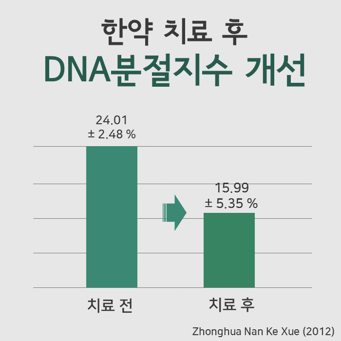 한약 치료 전 24.01%에서 치료 후 15.99%로 DNA 분절 지수가 변화한 것을 보여주는 막대 그래프 — 서울 바로한의원 초음파 약침·도침