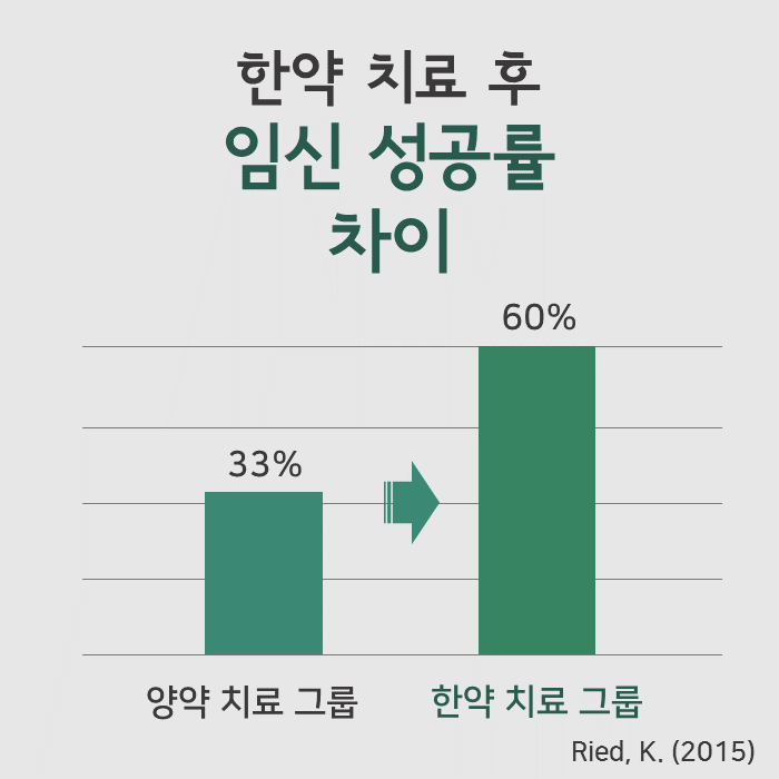 한약 치료 그룹의 임신 성공률 60%와 양약 치료 그룹의 임신 성공률 33%를 비교한 막대 그래프 — 서울 바로한의원 초음파 약침·도침