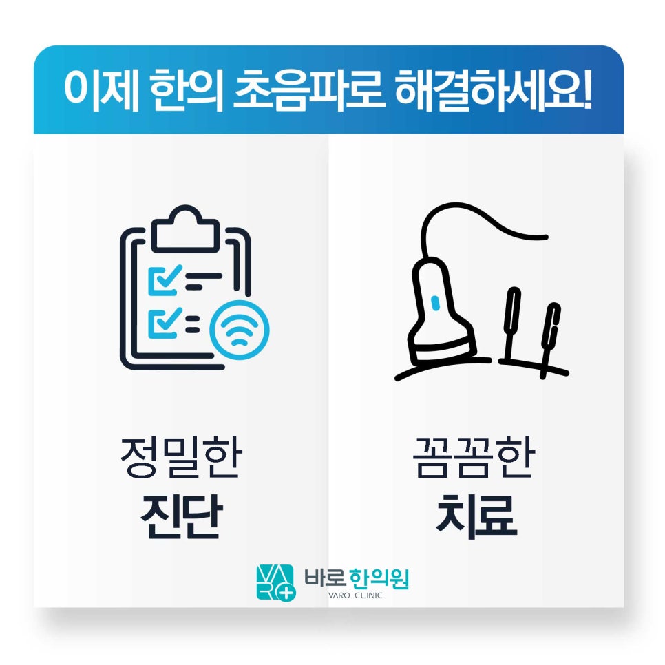 한의 초음파를 이용한 정밀 진단과 꼼꼼한 치료를 나타내는 아이콘과 문구가 있는 이미지.