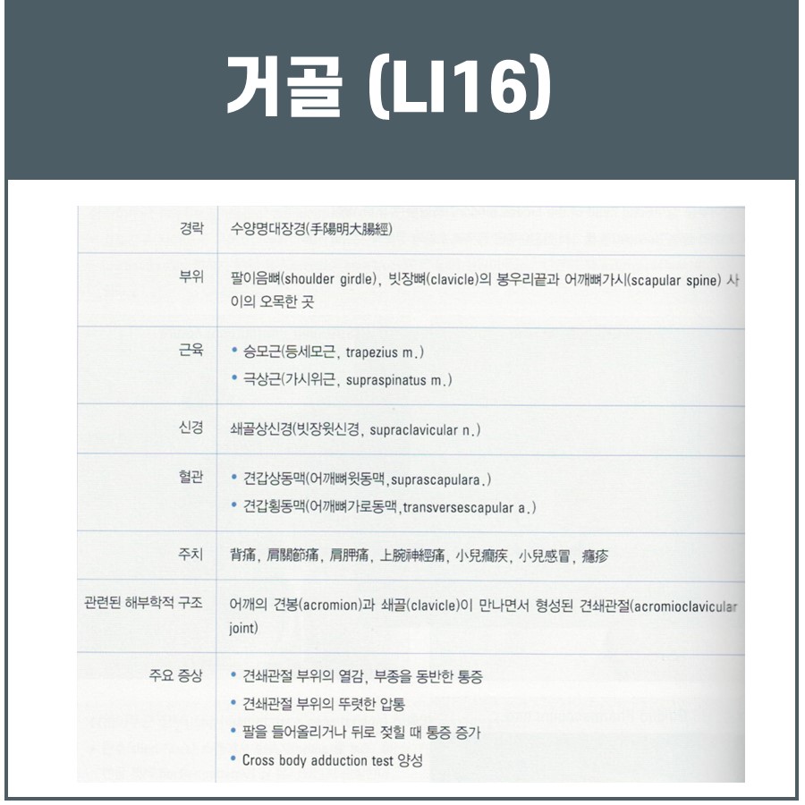 거골(LI16) 혈자리에 대한 해부학적 구조와 주요 증상을 설명하는 표 — 서울 바로한의원 초음파 약침·도침