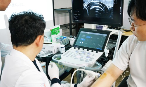 흰 가운을 입은 사람이 다른 사람의 팔에 초음파 기기를 대고 검사하고 있으며, 모니터에 초음파 영상이 보인다.