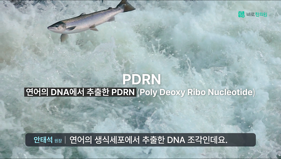 거친 물살 위로 뛰어오르는 연어와 PDRN, 연어 DNA에서 추출한 PDRN이라는 문구가 보이는 이미지