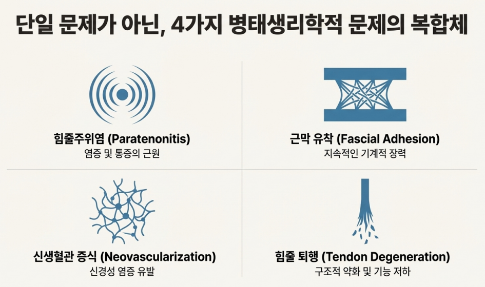 힘줄주위염, 근막 유착, 신생혈관 증식, 힘줄 퇴행의 네 가지 병태생리학적 문제를 설명하는 그림