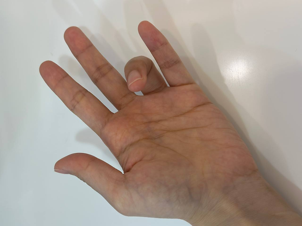 약지를 굽히고 다른 손가락은 편 손바닥