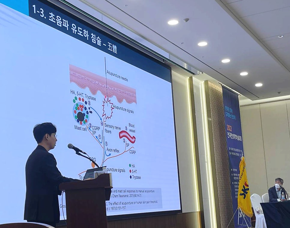 강연자가 초음파 유도 침술의 작용 기전이 그려진 슬라이드를 발표하고 있다.