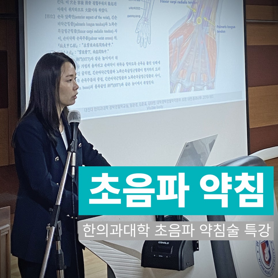 강사가 마이크 앞에서 강연하고 있으며, 뒤 스크린에는 손목 해부학 그림과 설명이 보인다. 화면에 '초음파 약침' 문구가 있다.